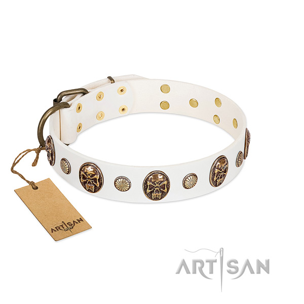 Comfortable leather dog collar for everyday use