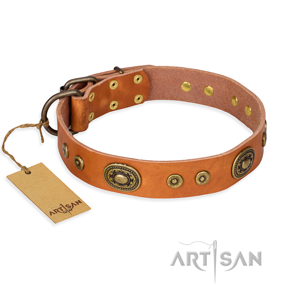 Full grain leather dog collar made of best quality material with corrosion proof fittings