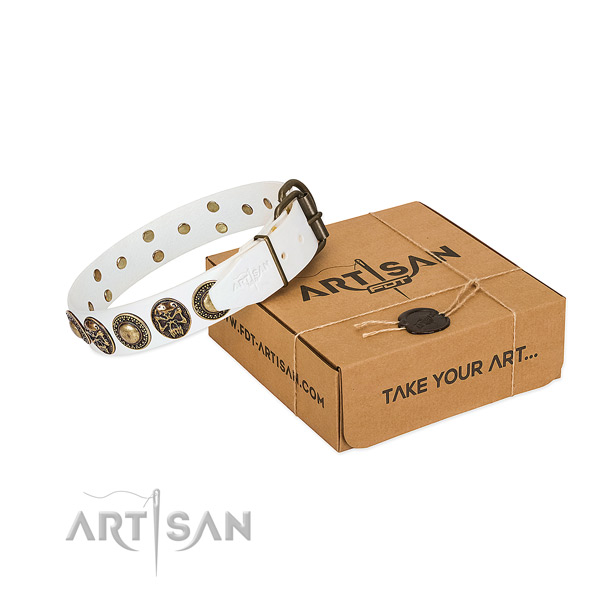 Durable studs on dog collar for handy use