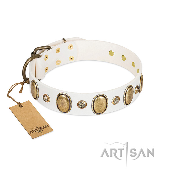Genuine leather dog collar of best quality material with stylish design studs