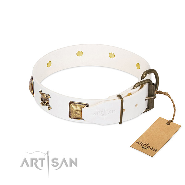 Extraordinary full grain leather dog collar with corrosion proof embellishments