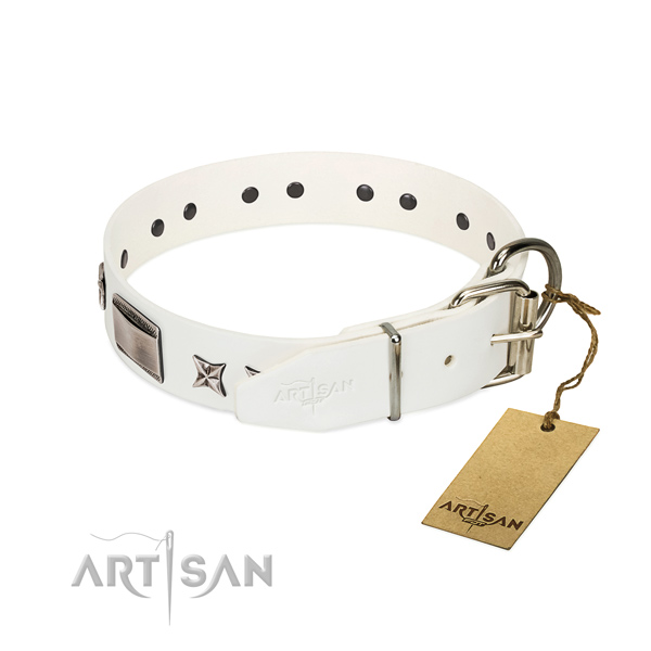 Incredible collar of full grain genuine leather for your handsome doggie