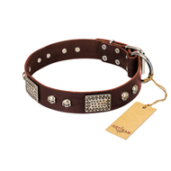 "Pirate Skull" FDT Artisan Brown Leather English Bull Terrier Collar with Old Silver Look Plates and Skulls