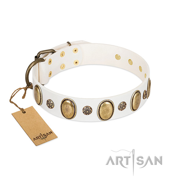 Daily walking high quality full grain natural leather dog collar with embellishments