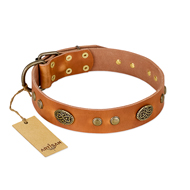 "Sun Beams" FDT Artisan Tan Leather English Bull Terrier Collar with Decorations