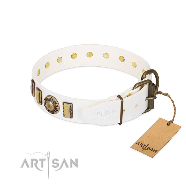 Adorned leather dog collar with rust-proof hardware