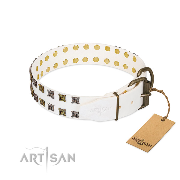 Leather collar with incredible studs for your pet