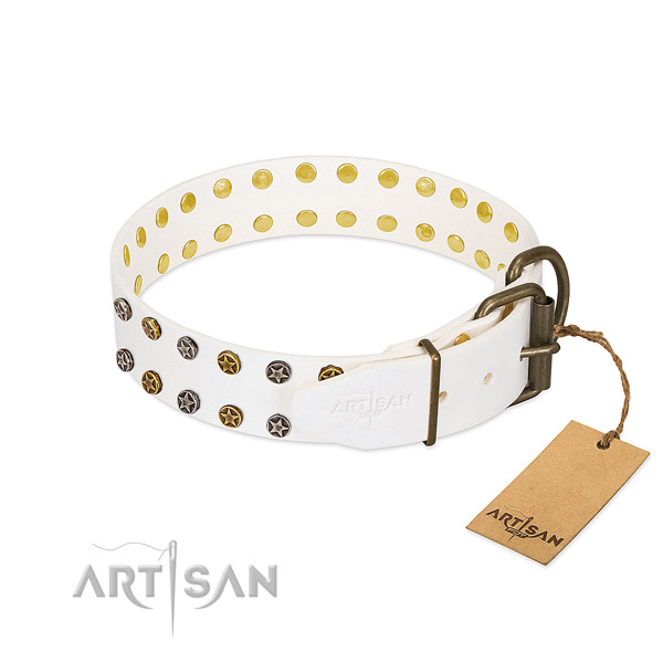 Full grain natural leather collar with remarkable embellishments for your pet