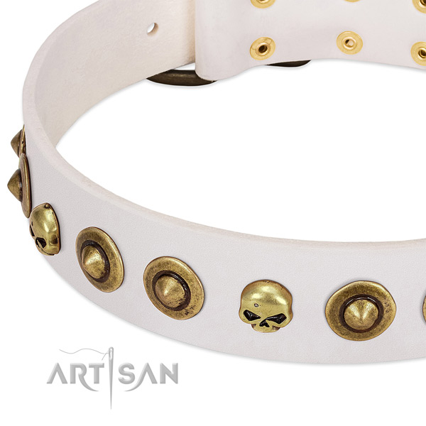 Top notch decorations on natural leather collar for your canine