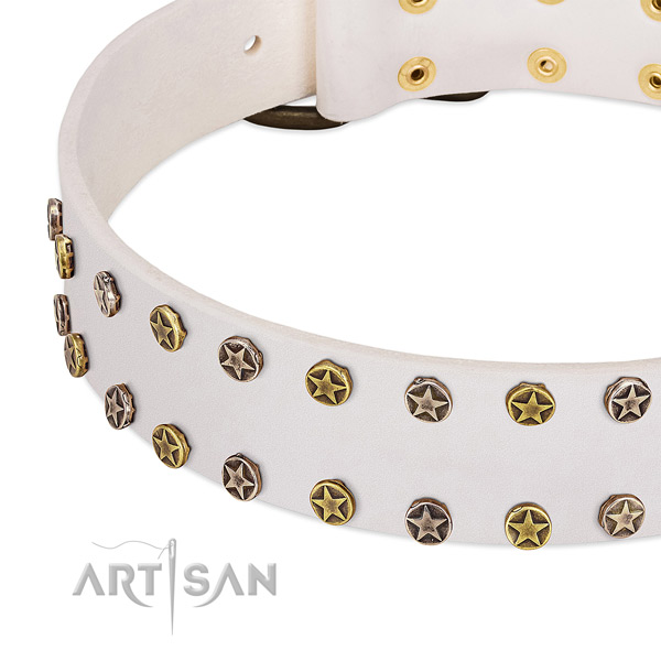 Unique adornments on full grain natural leather collar for your pet