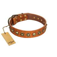 "Prez of the Pack" FDT Artisan Tan Leather English Bull Terrier Collar with Skulls and Brooches