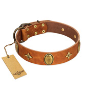 "Space Warrior" FDT Artisan Tan Leather English Bull Terrier Collar with Ovals and Stars