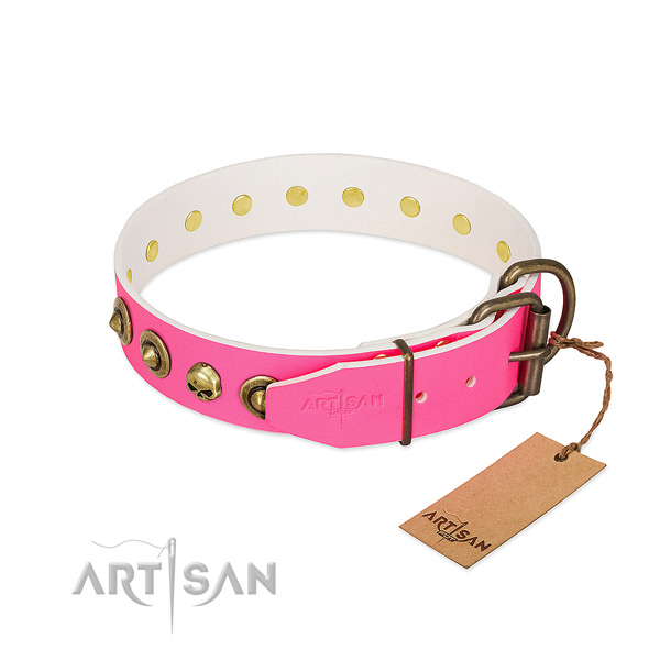 Natural leather collar with trendy studs for your canine