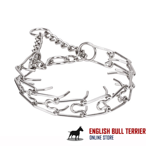 Rust resistant dog pinch collar with stainless steel removable prongs