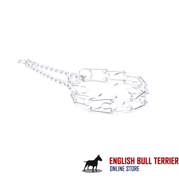 Chrome plated dog pinch collar for ill behaved pets