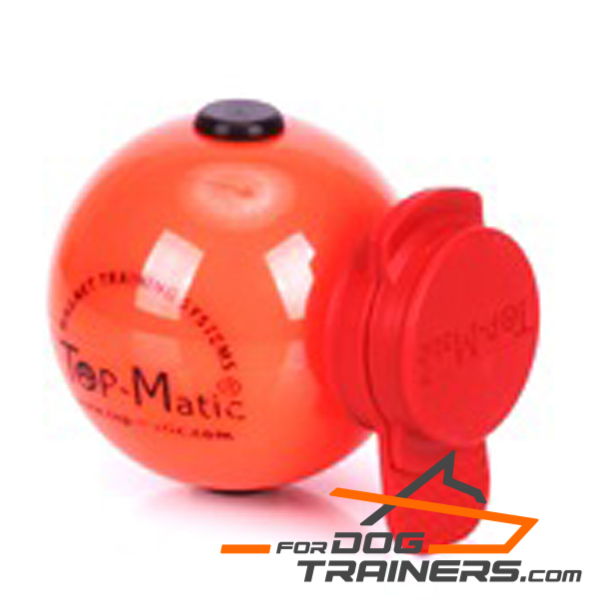Dog training rubber ball