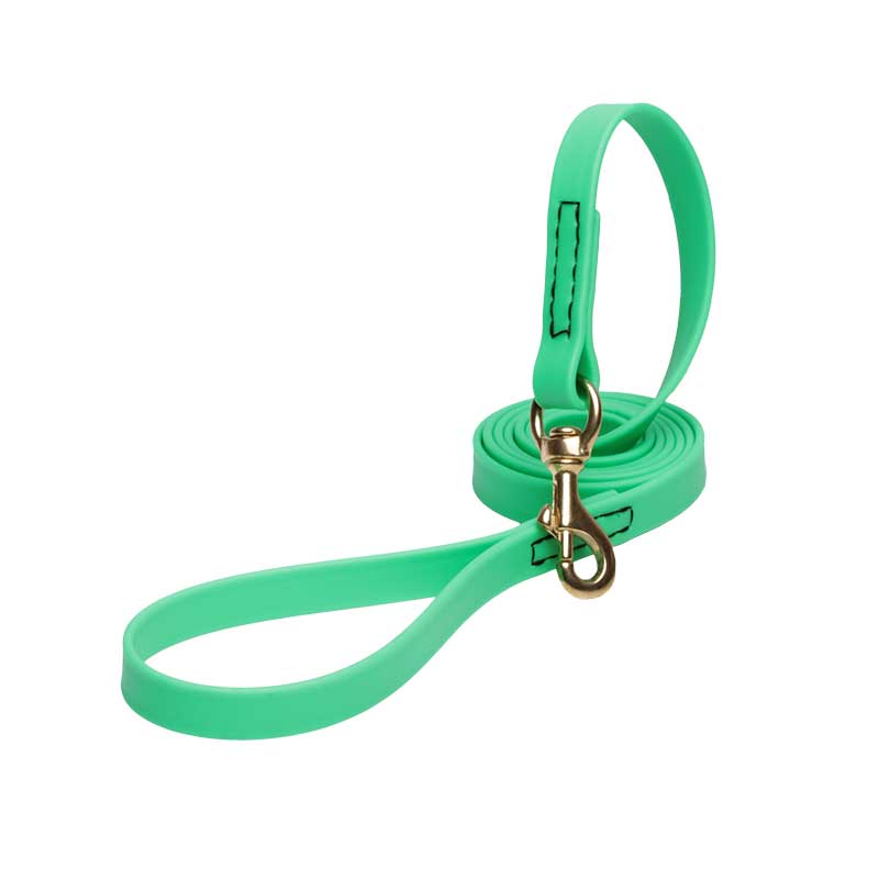 Green Waterproof English Bull Terrier Leash Made of Biothane