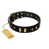 "De Luxe" FDT Artisan Black Leather English Bull Terrier Collar with Old Bronze-like Plates and Studs