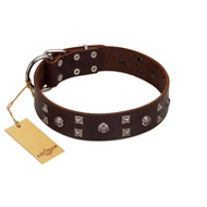 "Brown Shadow" Designer Handmade FDT Artisan Brown Leather English Bull Terrier Collar