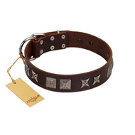"Needle Stories" Modern FDT Artisan Brown Leather English Bull Terrier Collar with Square Engraved Plates and Four-Point Stars