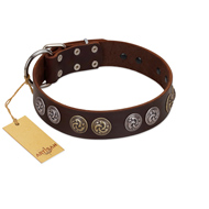 "Treasure Hunter" FDT Artisan Brown Leather English Bull Terrier Collar with Old-Bronze-like and Silvery Medallions