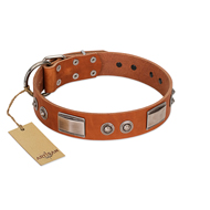 "Pawsy Glossy" FDT Artisan Exclusive Tan Leather English Bull Terrier Collar 1 1/2 inch (40 mm) wide
