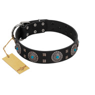 "Boundless Blue" FDT Artisan Black Leather English Bull Terrier Collar with Chrome Plated Brooches and Square Studs