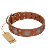 "Sun Rise Noon" FDT Artisan Tan Leather English Bull Terrier Collar with Unique Design