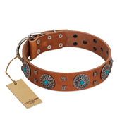 "Blue Sands" FDT Artisan Tan Leather English Bull Terrier Collar with Silver-like Studs and Round Conchos with Stones