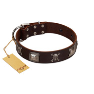 "Nut-Brown Finery" Embellished FDT Artisan Brown Leather English Bull Terrier Collar with Chrome Plated Crossbones and Plates