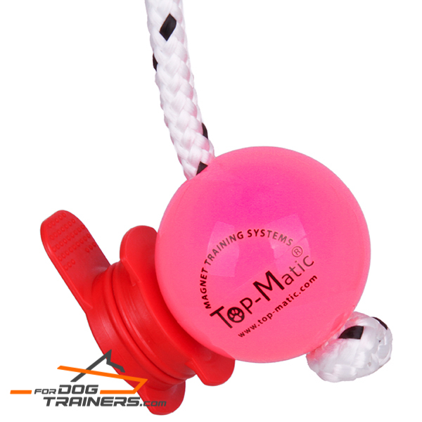 Magnetic Pink Ball