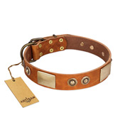 "Perfect Blend" FDT Artisan Tan Leather English Bull Terrier Collar 1 1/2 inch (40 mm) wide