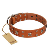 "Faraway Galaxy" FDT Artisan Tan Leather English Bull Terrier Collar Adorned with Stars and Squares