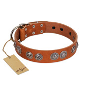 "Woofy Majesty" FDT Artisan Tan Leather English Bull Terrier Collar with Round Silver-like Plates