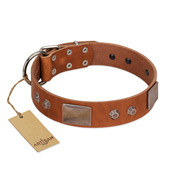 "Great Obelisk" Handcrafted FDT Artisan Tan Leather English Bull Terrier Collar with Large Plates and Pyramids