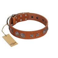 "Splendid Armor" Premium Quality FDT Artisan Tan Designer English Bull Terrier Collar with Shields and Stars