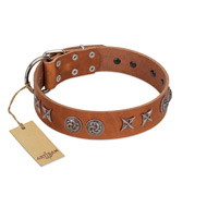"Brave Spirit" Handmade FDT Artisan Designer Tan Leather English Bull Terrier Collar with Shields