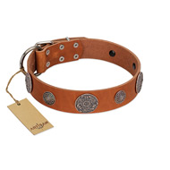 "Foxy Nature" FDT Artisan Tan Leather English Bull Terrier Collar with Chrome Plated Brooches