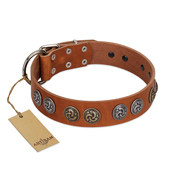 "Luxurious Life" Premium Quality FDT Artisan Tan Leather English Bull Terrier Collar with Round Adornments