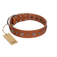 "Star Shine" Exclusive FDT Artisan Tan Leather English Bull Terrier Collar with Silver-Like Adornments