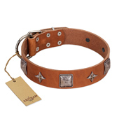 "Lucky Star" FDT Artisan Tan Leather English Bull Terrier Collar with Silver-Like Embellishments