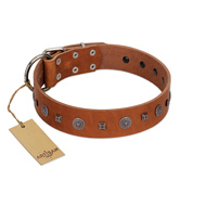 "Sweet Caramel" Designer FDT Artisan Tan Leather English Bull Terrier Collar
