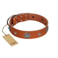 "Marine Antiques" Handmade FDT Artisan Tan Leather English Bull Terrier Collar with Blue Stones