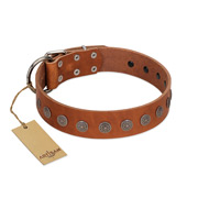 "Lucky Star" Handmade FDT Artisan Designer Tan Leather English Bull Terrier Collar with Round Plates