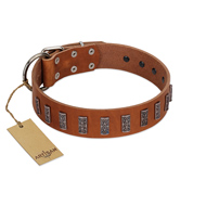 "Silver Century" Fashionable FDT Artisan Tan Leather English Bull Terrier Collar with Silver-Like Plates