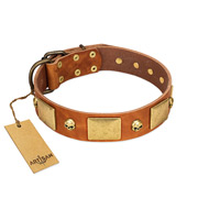 "Mutt The Daredevil" FDT Artisan Tan Leather English Bull Terrier Collar with Old Bronze-like Skulls and Plates