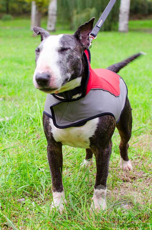 Nylon Bull Terrier Coat with Velcro Fasteners for Easy Putting the Item on