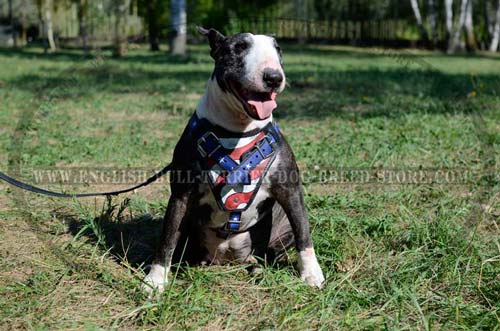 American Flag Painted Leather Dog Harness for Bull Terrier