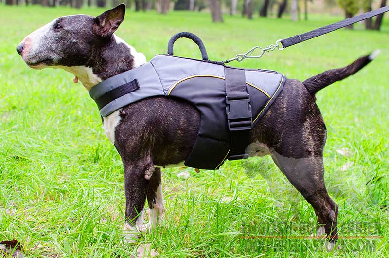 All Weather Nylon Bull Terrier Vest with Handle [H13##1090 Nylon vest ...