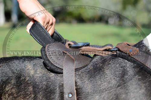 Super Strong Reliable Handle of Training Leather Dog Harness